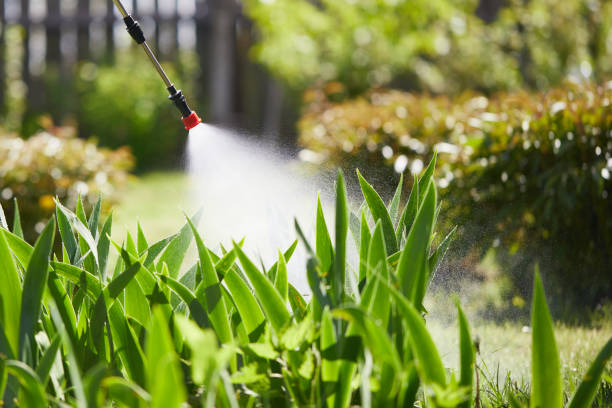24/7 Emergency Mosquito Control experts in Benicia, CA