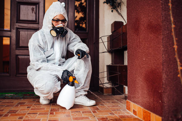 Reliable Mosquito Control contractor in Benicia, CA by Show Me Pest Control